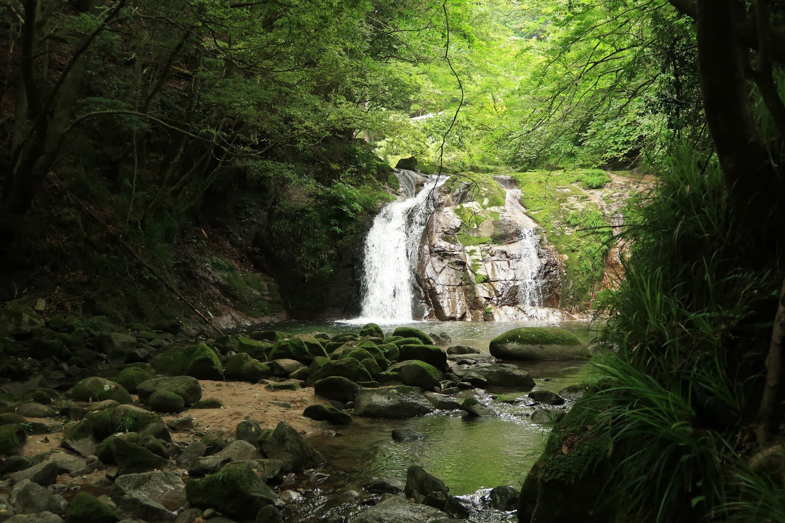 🍁 하나누키 계곡(하나누키케이코쿠) 이미지 8